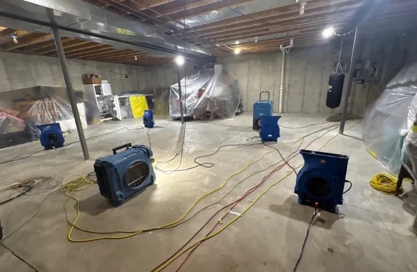 Basement Mold Cleanup in Newark, NJ