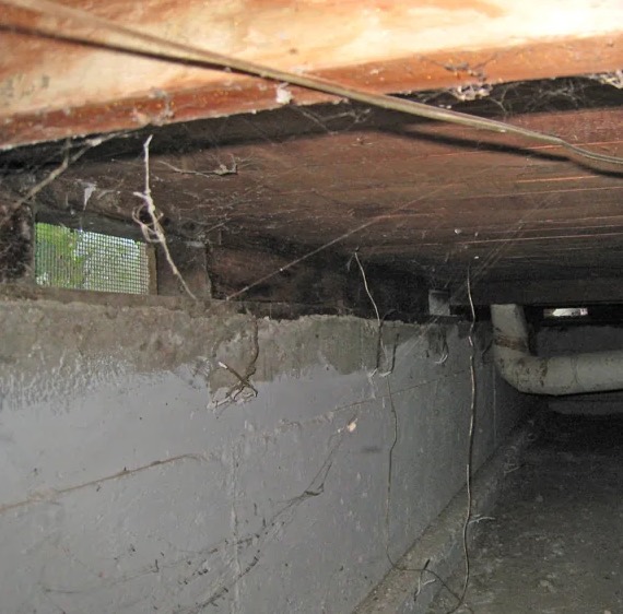 Crawl Space Water Damage Cleanup in Newark, NJ