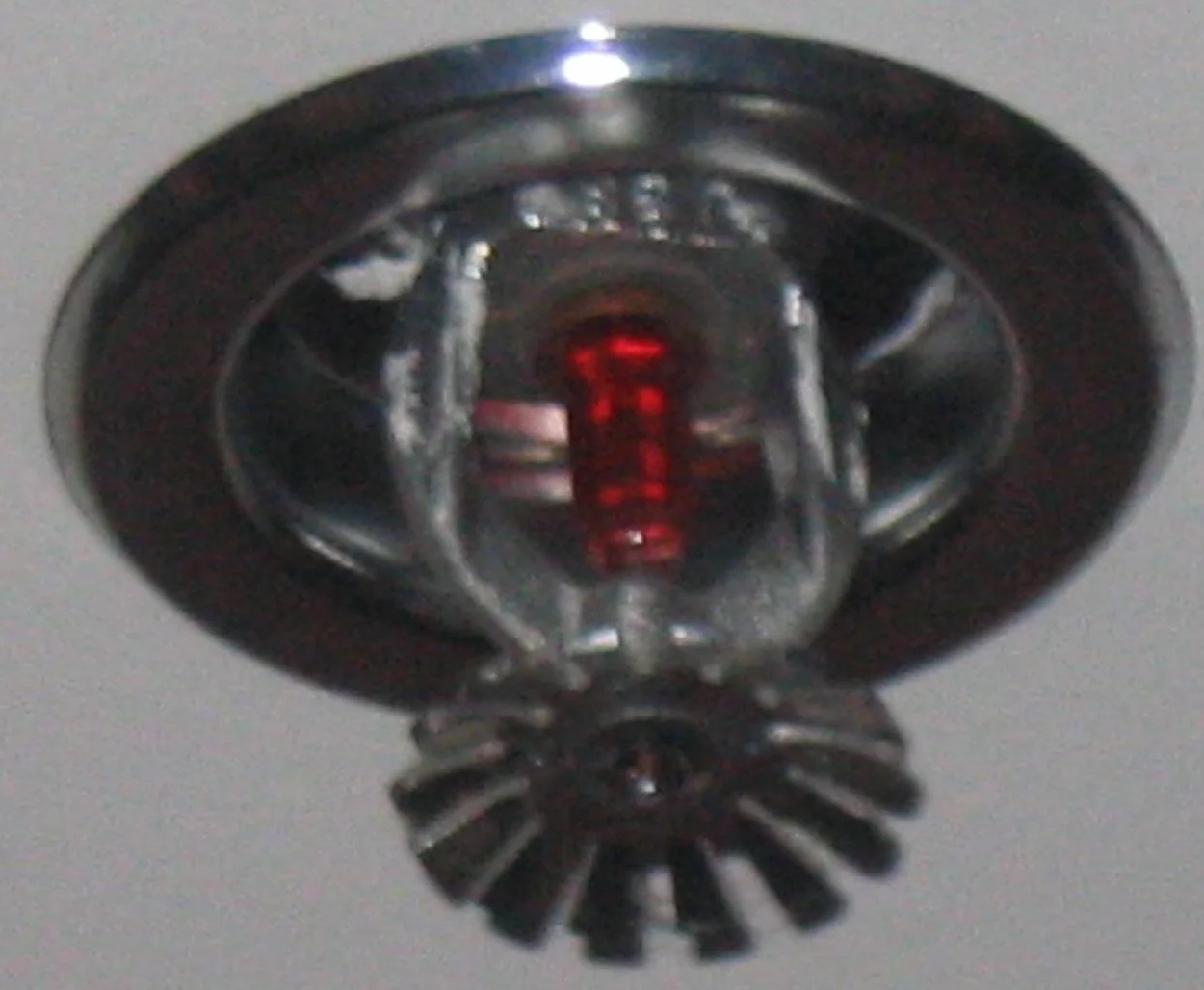 Sprinkler System Water Removal in Belleville, NJ
