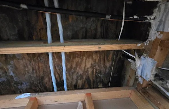 Water Damage Documentation in Newark, NJ